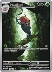 Accelgor